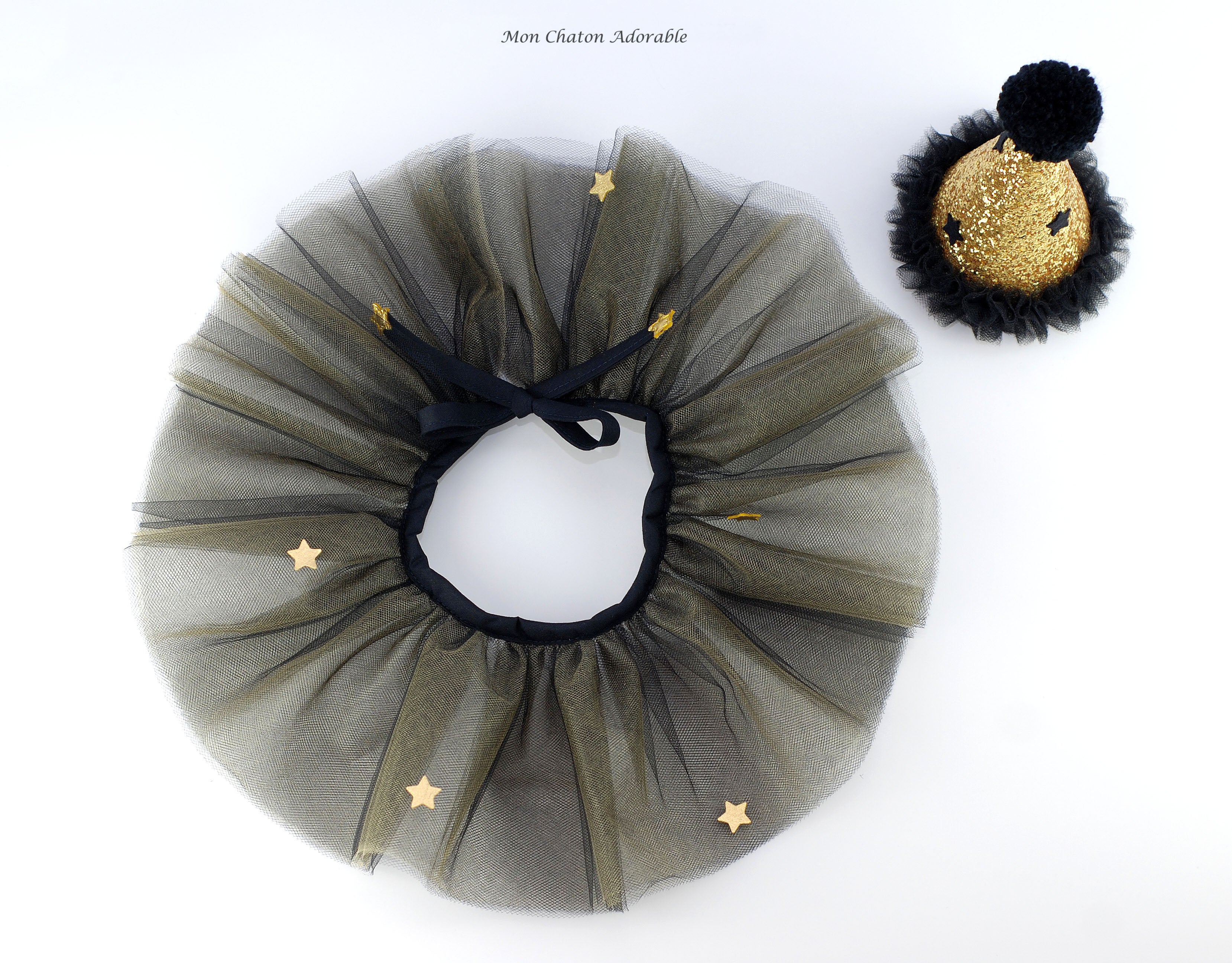 Halloween Circus Costume